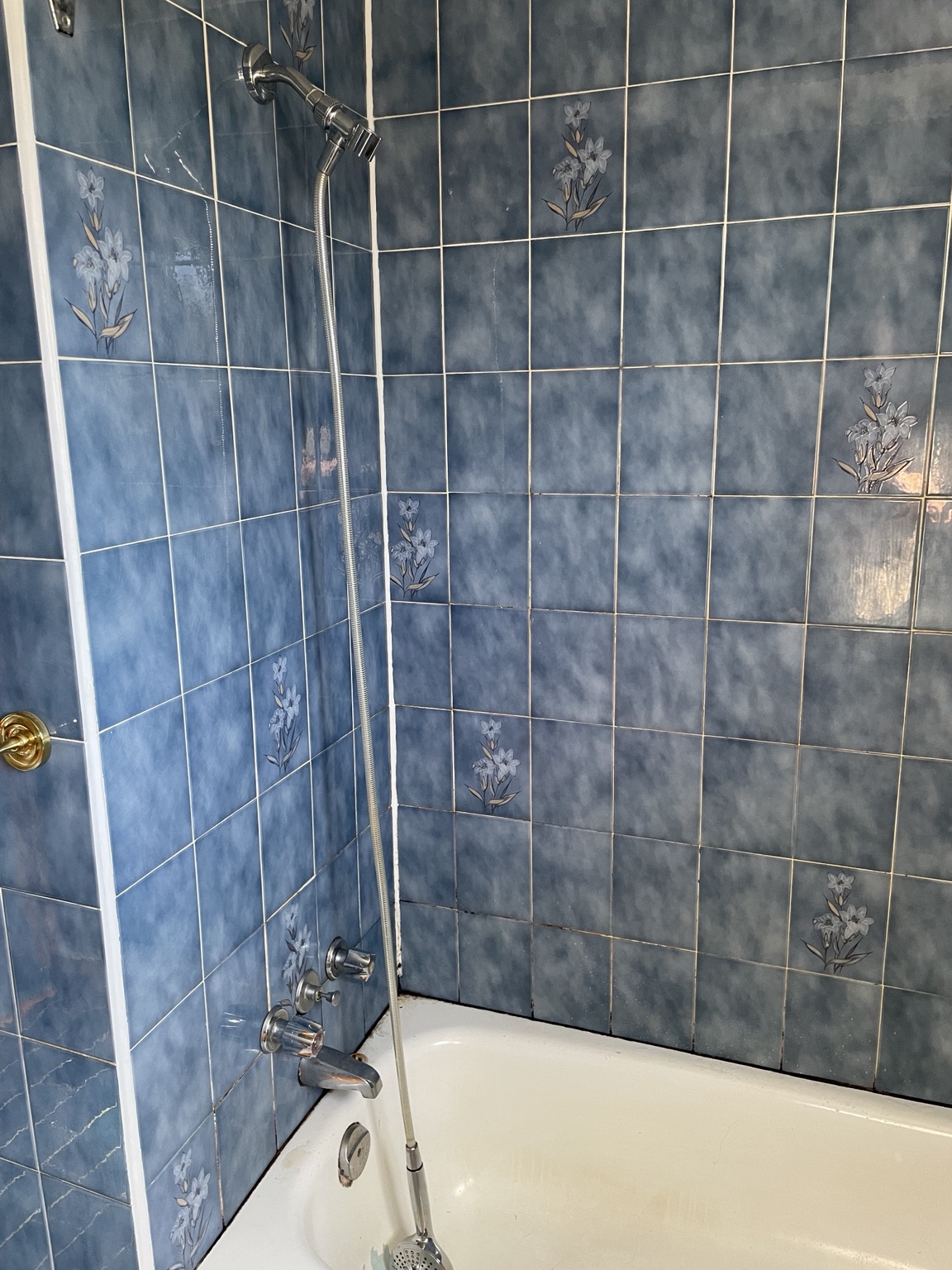 Bathtub and shower before renovation with blue tiles